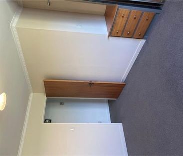 28 Tennyson Street, Beckenham, Christchurch City - The Size will Su... - Photo 6