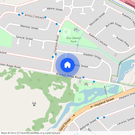 38 Betony St, Bald Hills QLD 4036