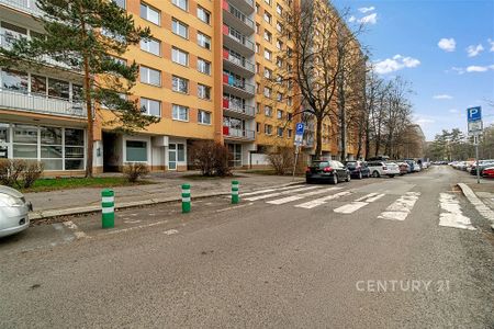 Pronájem bytu 3+1 68 m² - Photo 5