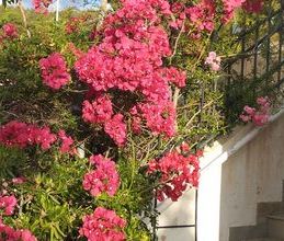 Διαμέρισμα για ενοικίαση - Κερατέα, - Photo 4