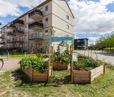 Skräddarebyn 14C, Bunkeflostrand - Foto 4