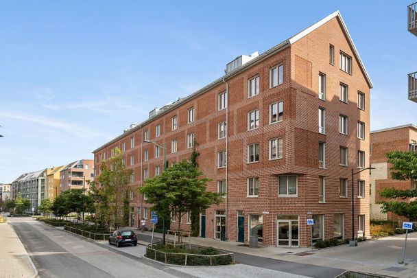 Bures Gata, Malmö - Photo 1