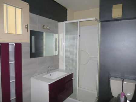 T1 MEUBLE proche CHU-ENSAM - Photo 5