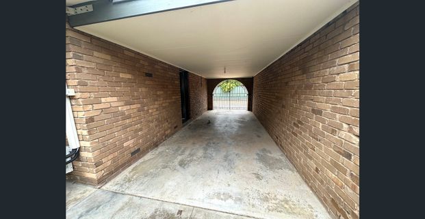 Central Renovated Unit - Photo 1