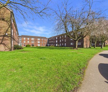 159 Ormond Road, S8 - Photo 3