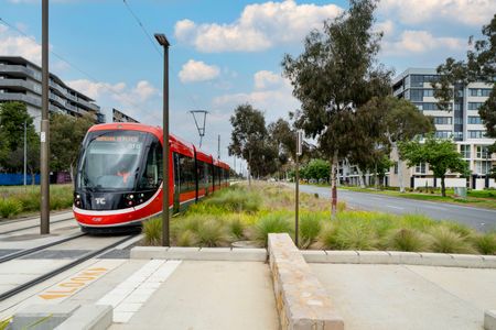 203/259 Northbourne Avenue, Lyneham ACT 2602 - Apartment For Rent | Domain - Photo 4