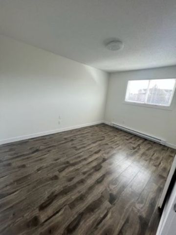 Lower mission – 2 bed, 1 bath townhome with yard - Photo 4