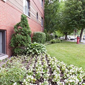 Jardins Decelles - 1 Bedroom - 5600 Avenue Decelles, Montréal - Photo 3