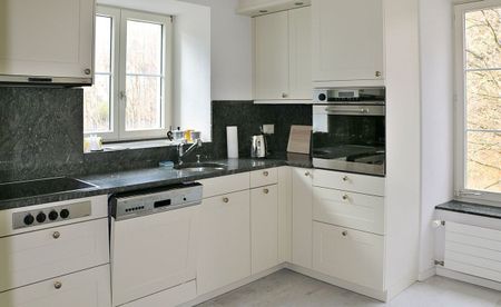 Unique apartment with large living space in a sunny location - Photo 3