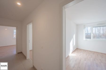 Go2Eisenstadt! Freundliche, helle 3 Zimmer Erstbezugswohnung + Balkon + Parkplätze - Foto 4
