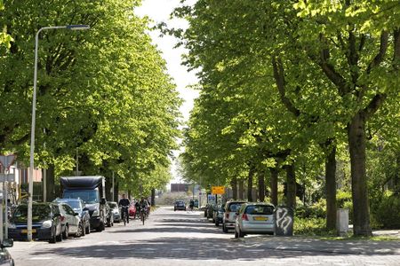 Te huur: Kamer Van Oldenbarneveldtstraat in Arnhem - Photo 3