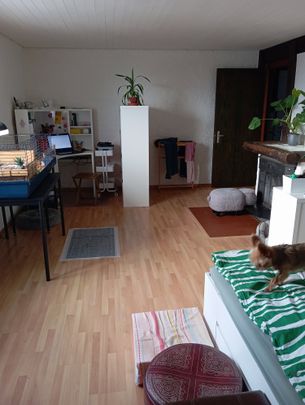 4.5 Zimmer, 102 m², EG - Photo 1