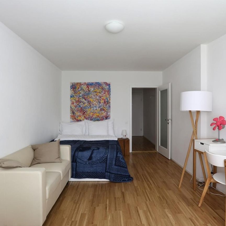 Möbliertes Apartmenthaus in zentraler, ruhiger Lage - Foto 1