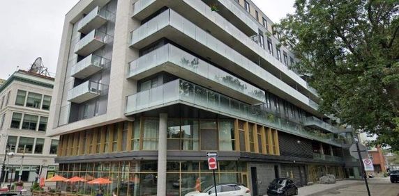 1 CH - 1 SDB - Montréal - $1,485 /mo - Photo 2