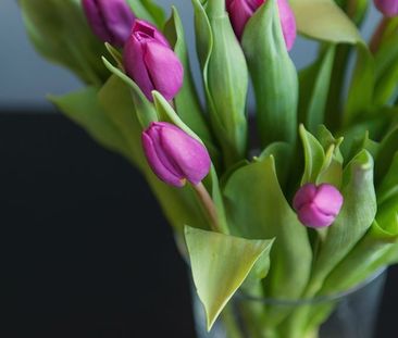 Bielsko-Biała, - Zdjęcie 2