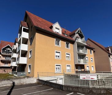 Location Appartement ROSENAU 940 € CC - Photo 1