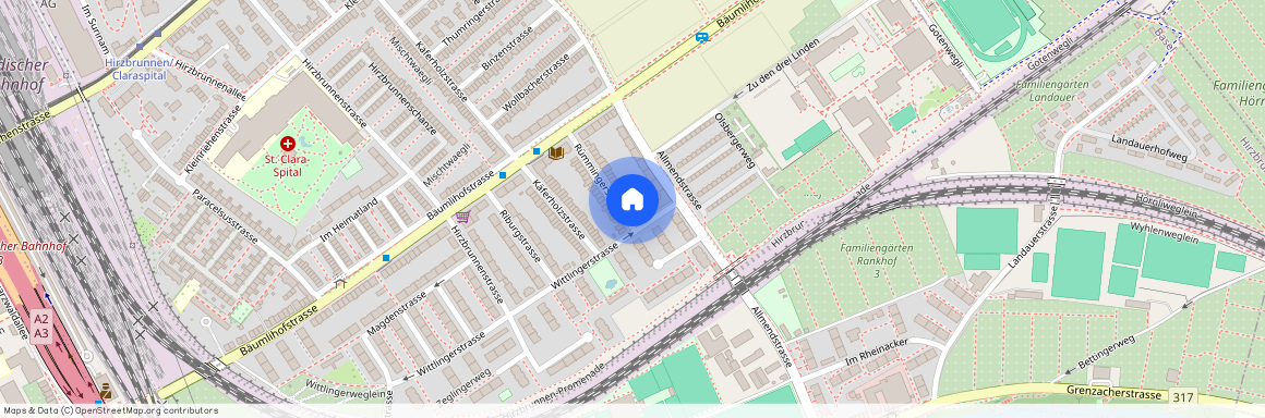 Rümmingerstrase 39, 4058 Basel