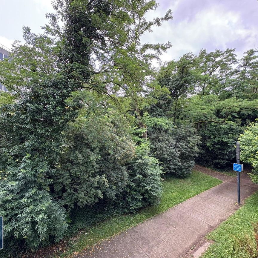 Location Appartement 1 pièce 22m² TOULOUSE 31000 - Photo 1