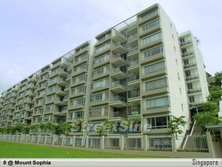 8 @ Mount Sophia (D9), Condominium - For Rent - Photo 4