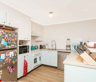 Perfectly Located 2 Bedroom Apartment in Cavill Terrace - Photo 3