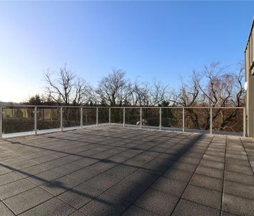 3 bedroom penthouse to rent - Photo 2