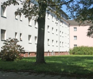 Kleine 3-Raumwohnung in ruhiger Lage! Sanierung vor Bezug! - Foto 1