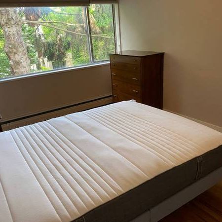 Furnished 1 Bedroom — The Biohacker Den: Health, Sleep & Fitness Tools - Photo 3