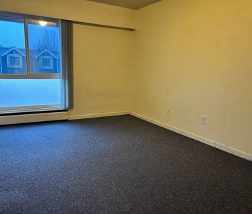 Large one bedroom apartment unit on East Broadway near Fraser st & VCC - Photo 3