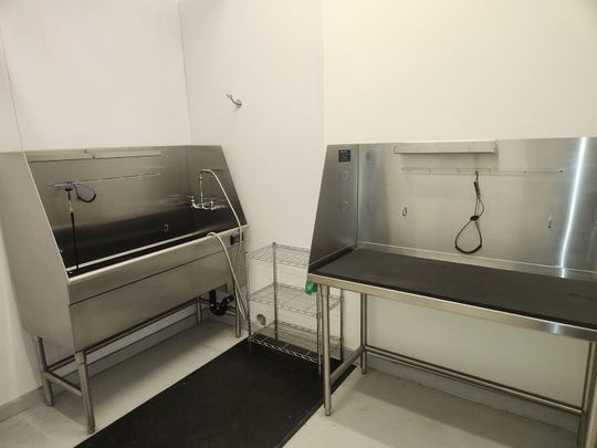 1bed 1bath Condo; Lodges – Available November – Unit 2-307 - Photo 1