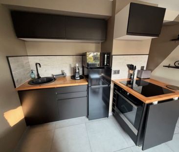 Location appartement 1 pièce, 20.70m², Cagnes-sur-Mer - Photo 4