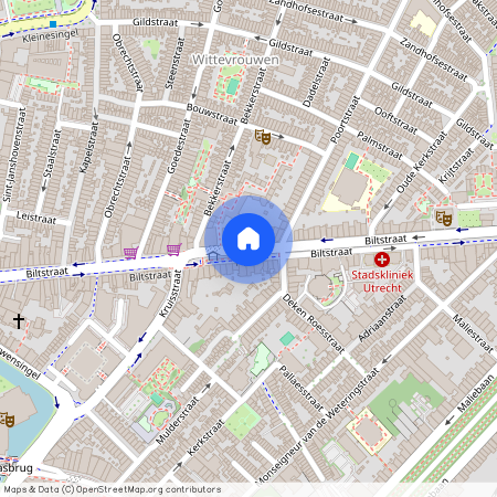 Wittevrouwen, 3572 BJ, Biltstraat, Utrecht
