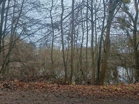 Wynajem - 2 przestronne pokoje po remoncie - Фото 5