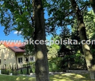 Dom na wynajem - Photo 6