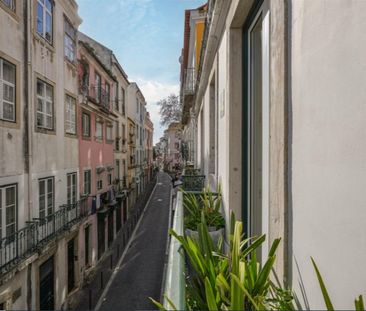 Arrenda T3+2 em Alfama - Photo 5