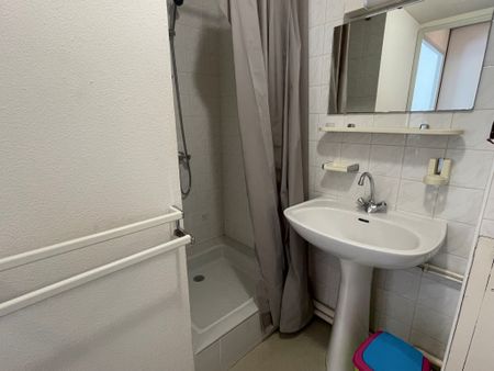 Location Appartement 1 pièce 20m² ANGERS 49000 - Photo 2