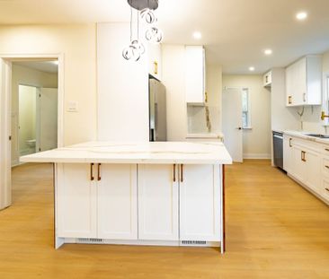 For Lease - 243 Ruggles Avenue Unit# Main, Richmond Hill, Ontario - Photo 5