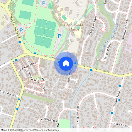 440 West Coast Road, Glen Eden, Waitakere City