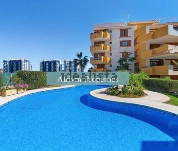 Alquiler de piso en Punta Prima - Photo 5