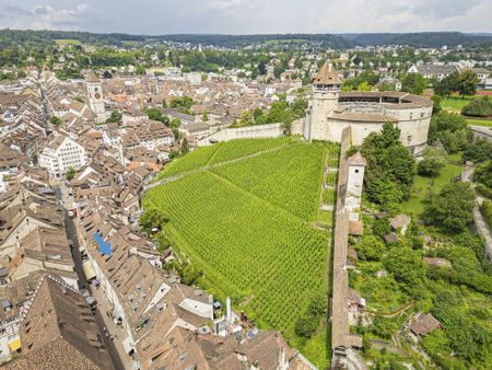 Zentrale Wohnung in der Altstadt von Schaffhausen - Photo 3