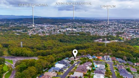 Relaxed Merewether Heights Living - Elevated Home Close to Beach & City - Photo 4