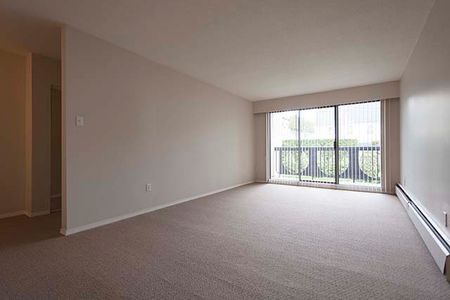 Park Astoria Apartments - 1 Bedroom - Photo 3