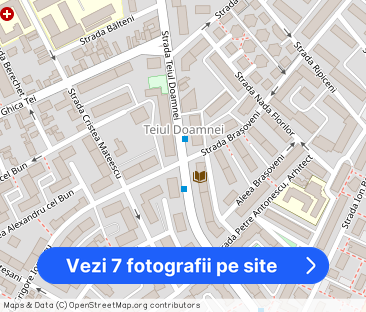 3 camere - TEIUL DOAMNEI, Stefan cel Mare - Fotografie 1
