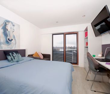 Bronze Studio - Photo 2