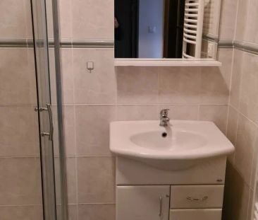 Pronájem bytu 1+kk Bojkovice - Světlov - Photo 4