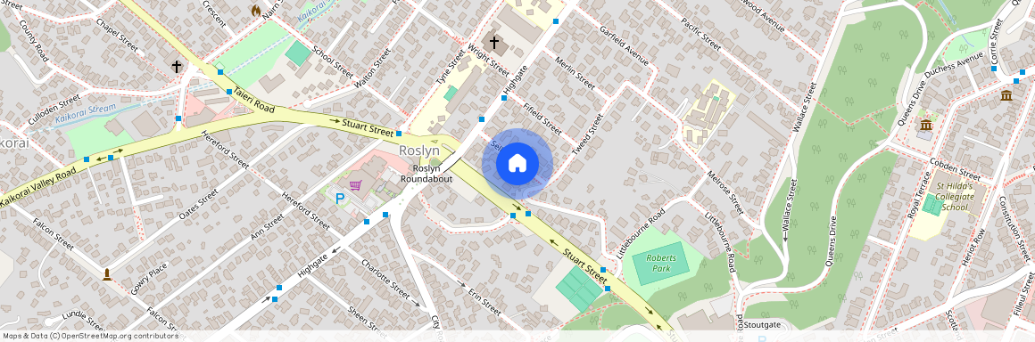 22 Selkirk Street, Roslyn, Dunedin