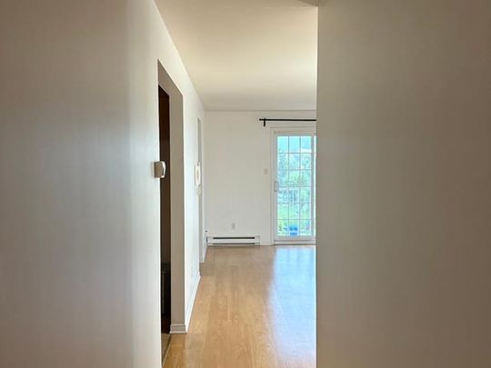 2964 Rue Montcalm - Photo 1