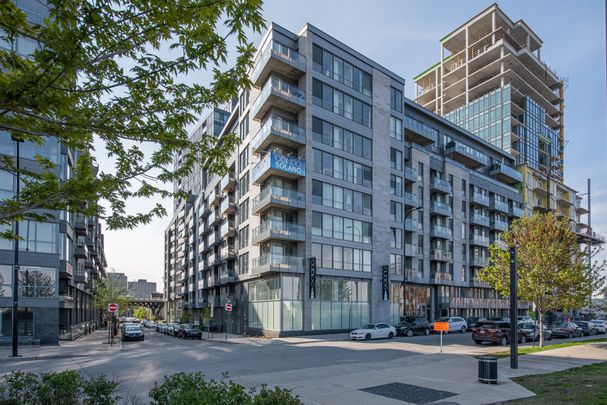 Apartment for rent, Montréal (Ville-Marie) - Photo 1