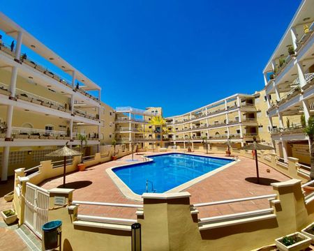 2 bedroom apartment for rent on the beachfront in Dehesa de Campoamor - Photo 3