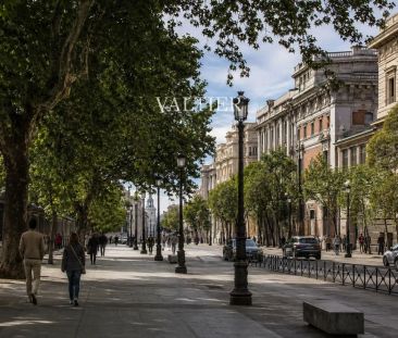 Madrid - Foto 4