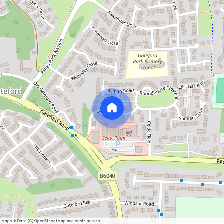 Lynchet Lane, Worksop